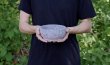 画像6: 石焼ビビンバ鍋　16cm　10個入ケース